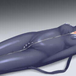 93423636_p0_master1200